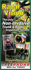 Download Tree Radar's latest brochure