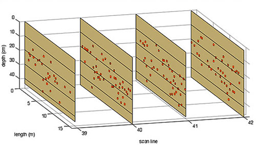 TreeRadar Root Density Map 1