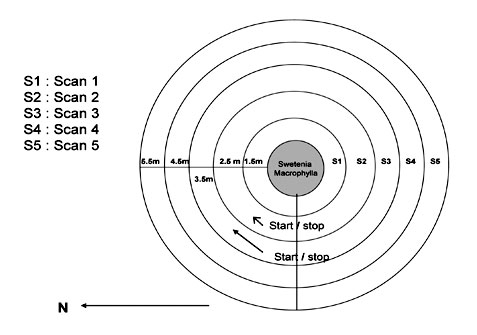 TreeRadar Root Scan Layout