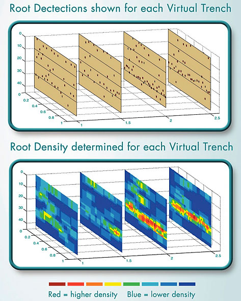 TreeRadar Rough Grid of Root Scan Layout